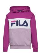 Bagana Blocked Hoody Pink FILA