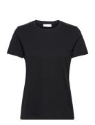 2Nd Frost Tt - Essential Cotton Jer Black 2NDDAY