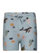 Otto Swim Pants Blue Liewood