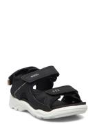 Biom Raft Black ECCO