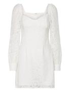 Atreena Lace Mini Dress White French Connection