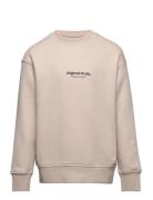 Jorvesterbro Sweat Crew Neck Noos Jnr Beige Jack & J S