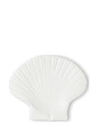 Plate Shell M White Byon
