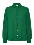 Albasz Shirt Green Saint Tropez