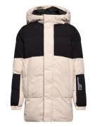 Jjeforce Puffer Sn Jnr Grey Jack & J S