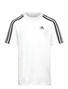 U 3S Tee White Adidas Sportswear