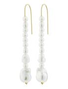 Willpower Pearl Earrings White Pilgrim