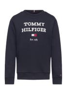 Th Logo Sweatshirt Navy Tommy Hilfiger