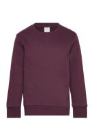 Sweatshirt Basic Burgundy Lindex