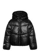 Jacket Puffer Black Lindex