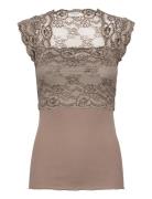 Silk T-Shirt W/ Lace Brown Rosemunde