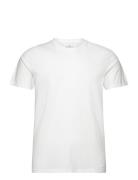 Hco. Guys Knits White Hollister