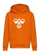 Hmlcuatro Hoodie Orange Hummel