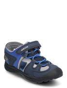 J Vaniett Boy A Navy GEOX