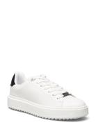 Catcher Sneaker White Steve Madden