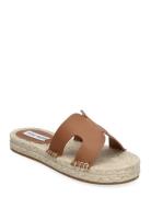 Cheer Up Sandal Brown Steve Madden