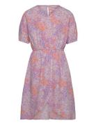 Nkffida Ss Dress Pb Purple Name It