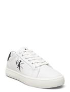 Classic Cupsole Laceup White Calvin Klein