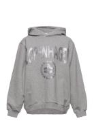 Hoodie Grey Sofie Schnoor Baby And Kids