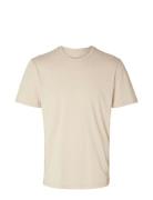 Slhaspen Mini Str Ss O-Neck Tee Noos Cream Selected Homme