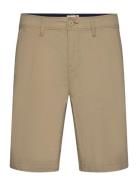 Poplin Chino Short Beige Timberland