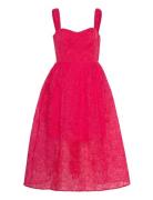 Embroidered Lace Strappy Dress Pink French Connection