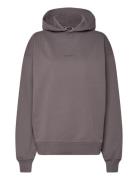 W. Paradise Oslo Hoodie Grey HOLZWEILER