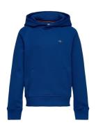 Shield Hoodie Blue GANT