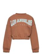 Sweatshirt Gwen Crewneck Brown Lindex