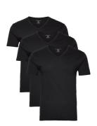 Pc Basic V Neck 3 Pack Black Michael Kors