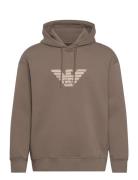 Sweatshirt Brown Emporio Armani