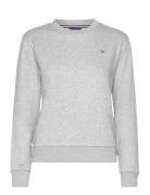 Reg Sweat Grey GANT