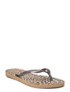 Hav. Slim Animals Brown Havaianas