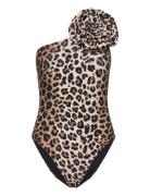 Carriecras Swimsuit Brown Cras