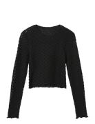 Nlfralma Ls Crop Top Black LMTD