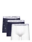 Stretch Cotton Boxer Brief 3-Pack Navy Polo Ralph Lauren Underwear