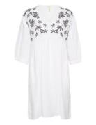 Giazellapw Dr White Part Two