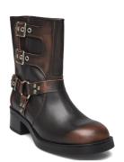 Becase Boot Brown Steve Madden