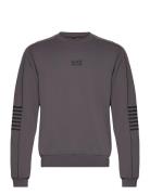 Sweatshirt Grey EA7