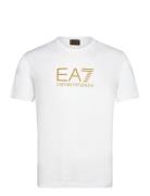 T-Shirt White EA7