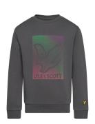 Dotted Eagle Graphic Sweatshirt Grey Lyle & Scott