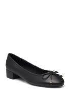 Cherish Ballerina Black Steve Madden