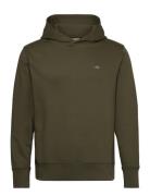 Reg Emb Archive Shield Hoodie Green GANT