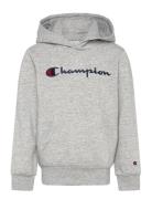 Hooded Sweatshirt Grey Champion