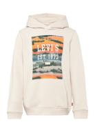 Lvb Landscape Box Hoodie / Lvb Landscape Box Hoodie Cream Levi's