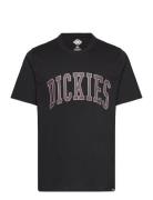 Aitkin Tee Black Dickies