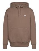 Summerdale Hoodie Brown Dickies