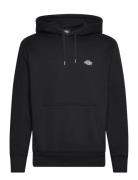 Summerdale Hoodie Black Dickies