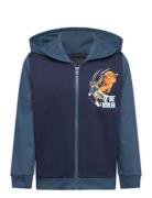 Lwscout 607 - Sweatshirt Navy LEGO Kidswear