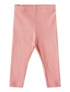 Rib Leggings Maddy Pink Wheat